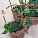 기장초등학교병설유치원 이미지