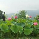 세미안 - 고양시 일산동구 | 세미안