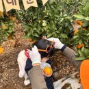 대운농장 이미지