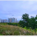 배곧생명공원 이미지