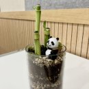 노아의작은도서관 이미지