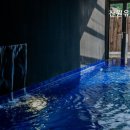 잔원유림 이미지