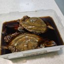 서해간장게장 | (간장게장 추천)보령생생간장게장 먹은 후기