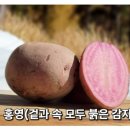 그린종묘농약사 이미지