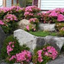 우리펜션민박 이미지