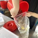 강화도 왕새우 구이 맛집 대성수산 오픈런 후기