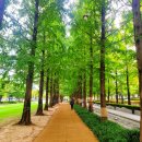 방축공원 | 2026년 꼭 가봐야 할 국내 웰니스 관광지 TOP7