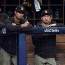 유와인 뉴시스