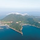 가덕 코이 이미지