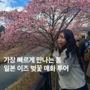 시냇물 2 농장 | 일본 벚꽃 여행 :: 핑크색 봄 잔뜩 만끽한 도쿄 근교 당일치기 후기