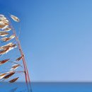 바우한의원 이미지