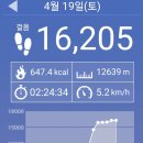 황금노을 이미지