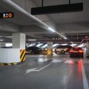 공설시장 이미지