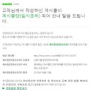 강동서울대항장문외과의원 내 게시물 삭제