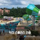 회원동156 | 덕산 스플라스 리솜 워터파크 리모델링 오픈 방문 후기 - 시설, 가격, 꿀팁 총정리 (내돈내산, 아이와...