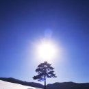 고요 이미지