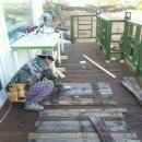 안버림연구소 이미지