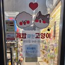 개밥파는 고양이 야당점 이미지