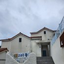 리틀미코노스8 이미지