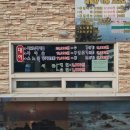 삼척 갈남항 텐트 , 스노쿨링 , 샤워장 , 주차장 등 직접 다녀온 후기!