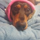 관문동물병원 이미지