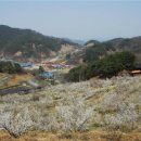 자연과호수 이미지