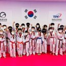 경희대인성태권도 이미지