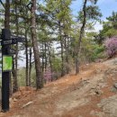 긴고랑지구 이미지