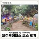 청소년을 위한 아이디어 발상법 | 제주도 여행 제주투어패스 코스 후기 비체올린 탐나당 시소카이막