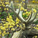 영민목장 이미지