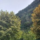 팝스월드