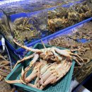 진주식당 | 노량진수산시장 대게·킹크랩｜‘태한물산’부터 ‘진주식당’까지 내돈내산 후기