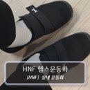 헬스 | 헬스장 운동화 :: HNF. 헬스운동화 후기