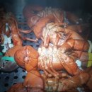 왜관ic실내바다낚시터 이미지