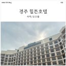 힐튼 경주 | 경주 힐튼 숙박 후기 아이랑 가기 좋은 온수풀 수영장