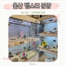 와우펫앤쥬 부산점 | 울산 햄스터분양 와우펫앤쥬 내돈내산 솔직후기