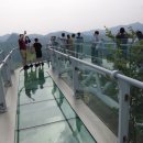 아리힐스(짚와이어) 이미지