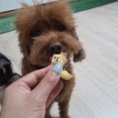 솜바지 다과점 이미지