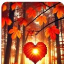 너참예쁘다 이미지