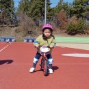 팔봉공설운동장 이미지