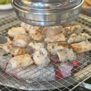 민둘이목장 이미지