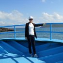 NA투어 Daum카페