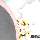 주식회사엠라인 네이버블로그