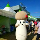 송이애견 이미지