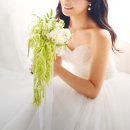 2동탄 꽃집 줄맨드라미 웨딩 촬영 부케 플리마인 플레르 24시간 픽업 오산 수원