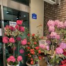 산흥농장 네이버블로그