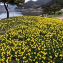 산동목장 이미지