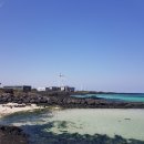 [제주도여행] 3박4일 제주도여행코스 3일차 : 월정리해변 / 올래국수 / 동문재래시장 / 파파무베이커리...
