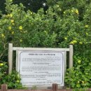 오조리-2 이미지