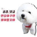잘다녀오시개 이미지